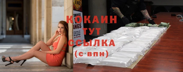мдпв Надым