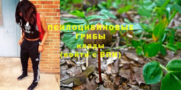 мдпв Надым