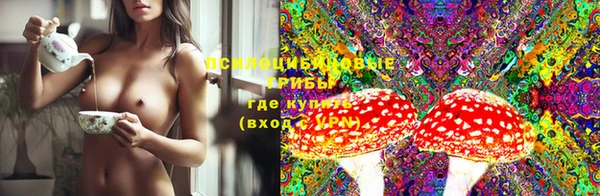 ГАЛЛЮЦИНОГЕННЫЕ ГРИБЫ Навашино