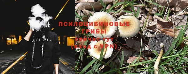 мдпв Надым