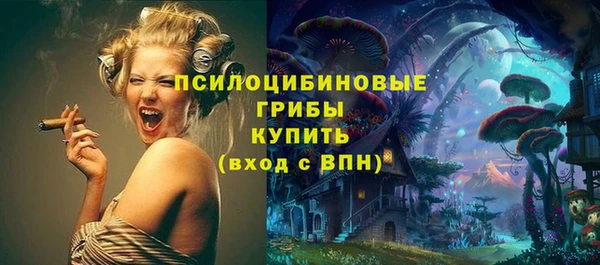 ГАЛЛЮЦИНОГЕННЫЕ ГРИБЫ Навашино