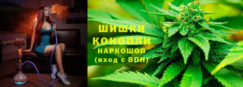 Шишки марихуана OG Kush  Полярный 